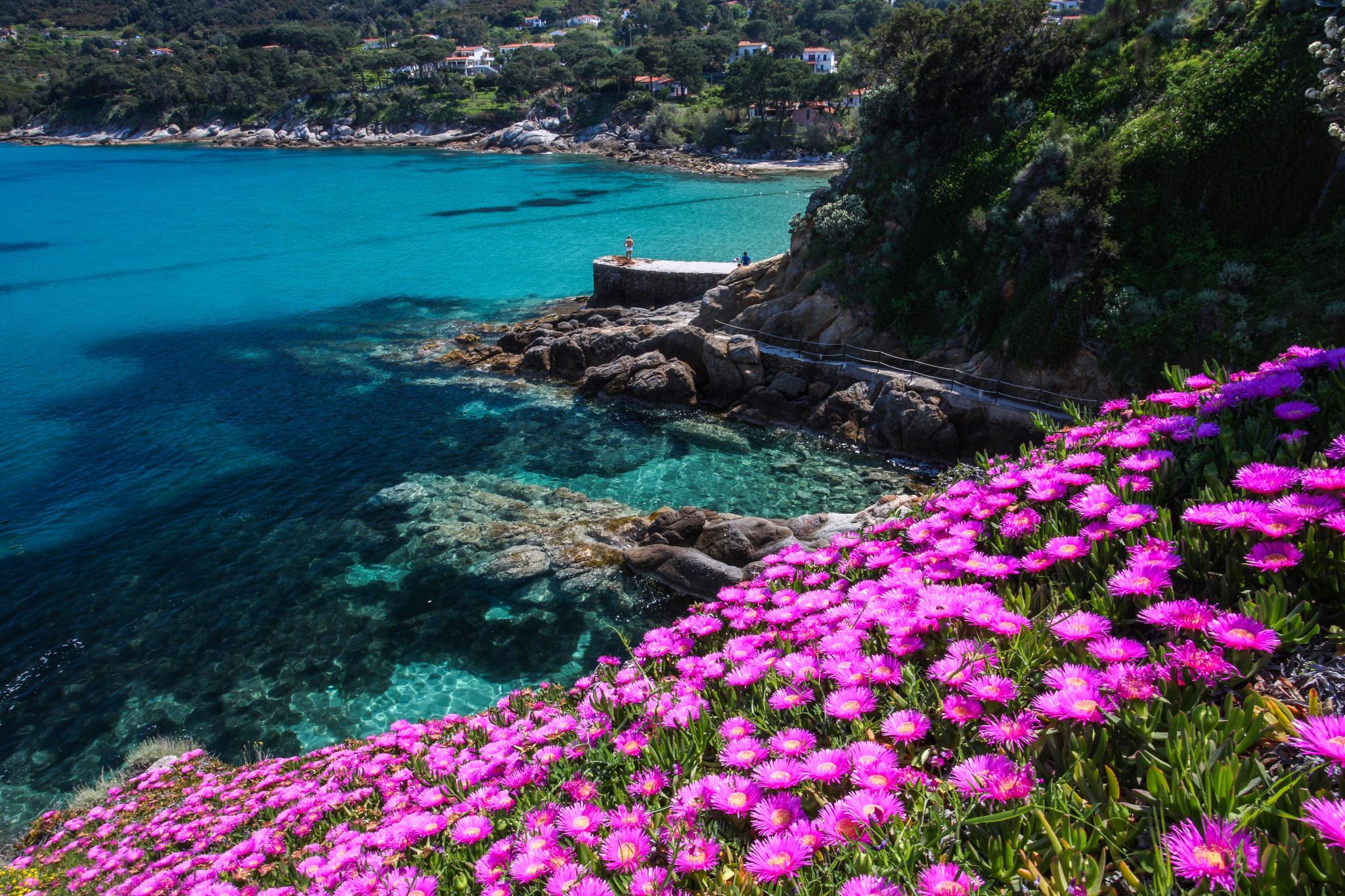 Isola Elba_Panorama Mare e fiori